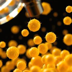 Gronkowiec – co musisz wiedzieć o zakażeniach i powikłaniach?